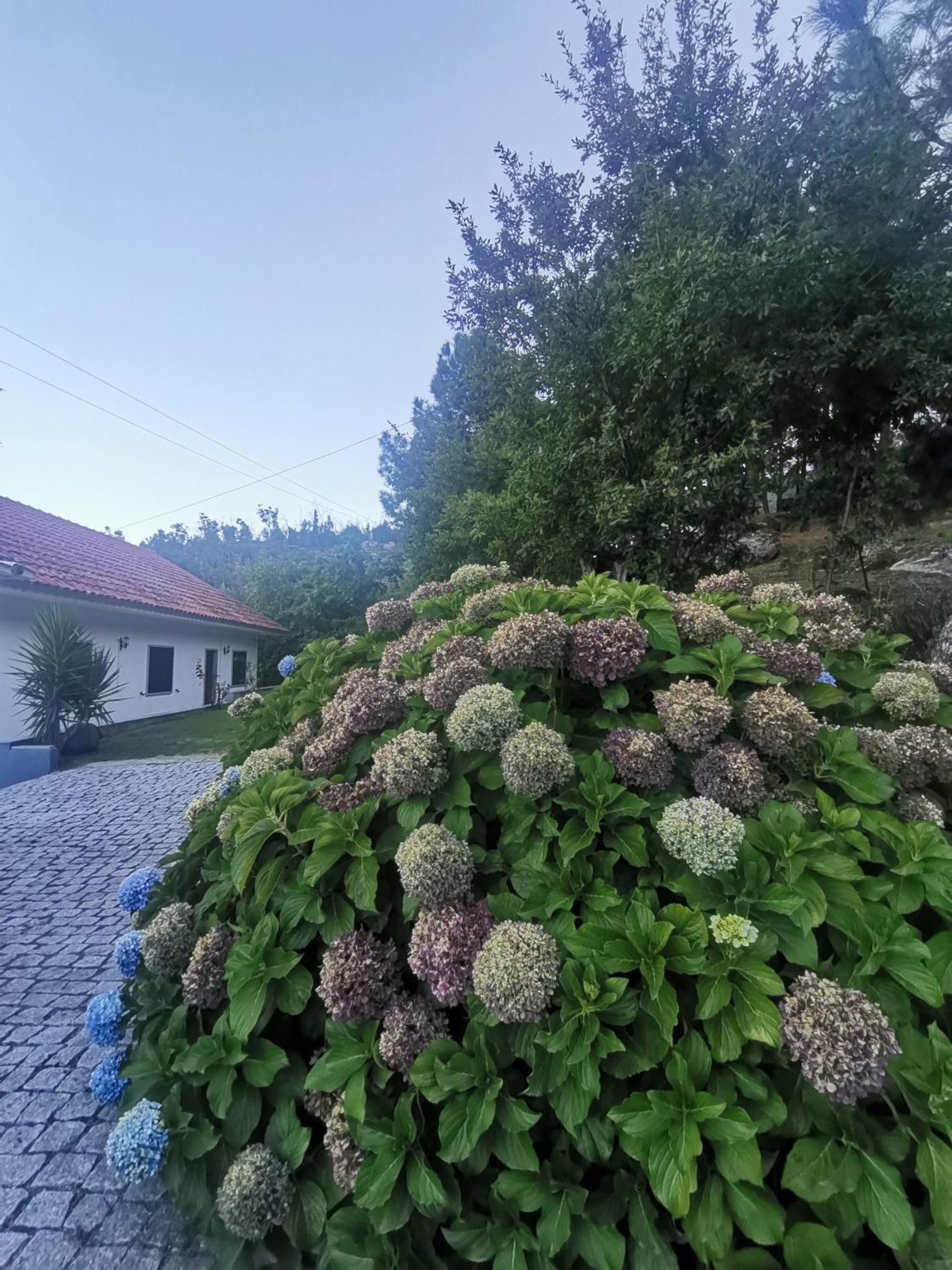 Quinta Souto Da Ordem - House Villa Castelo Novo Esterno foto